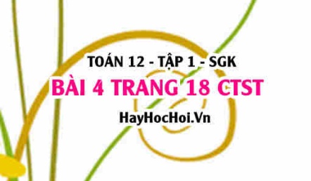 Bài 4 trang 18 Toán 12 tập 1 Chân trời sáng tạo